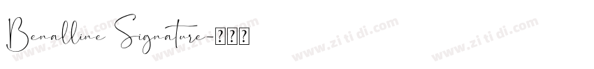 Benalline Signature字体转换 Benalline Signature字体转换